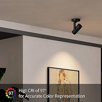 Aisilan Black LED Zoomable Ceiling Spotlight 12W Dimmable